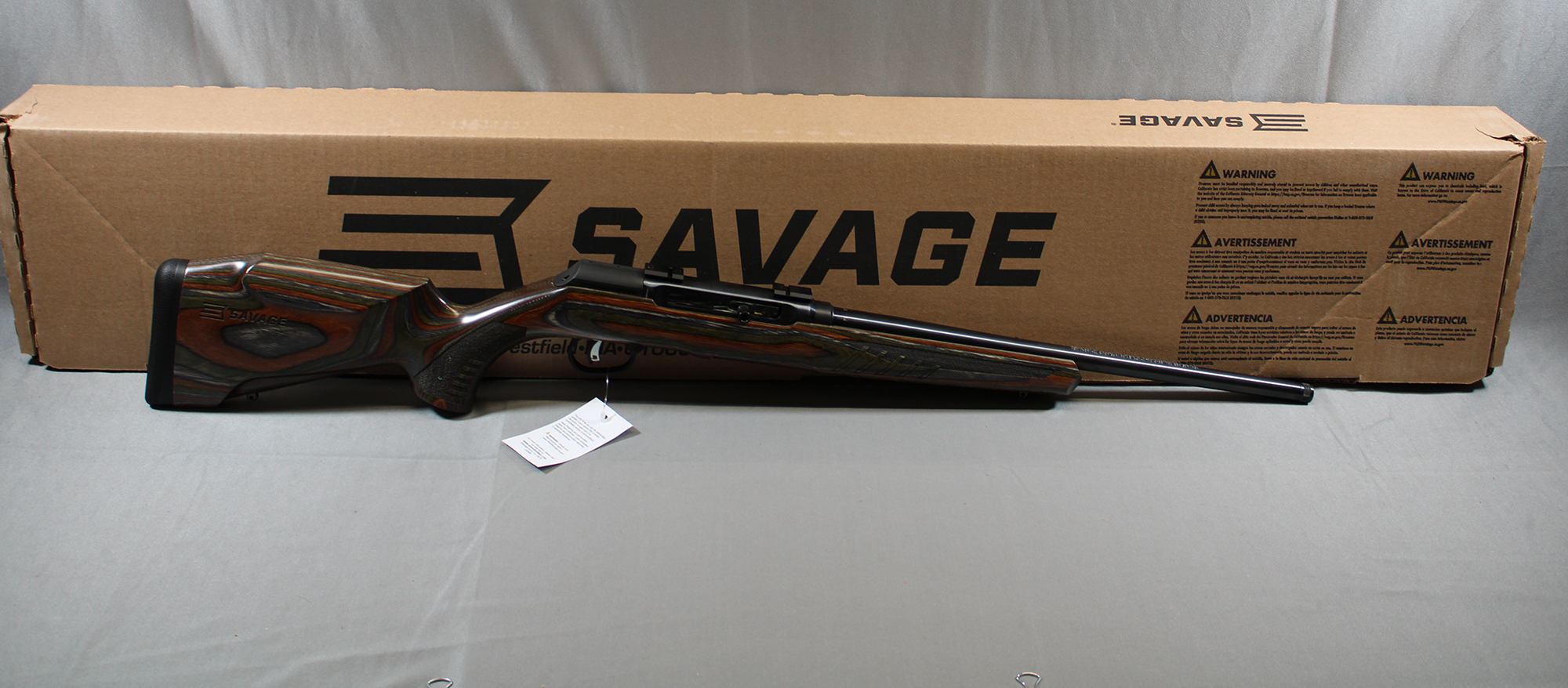 Savage ~ A22 ~ .22 Long Rifle 